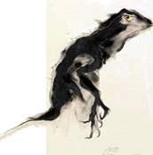 lizard